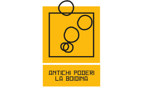 logo-boidina